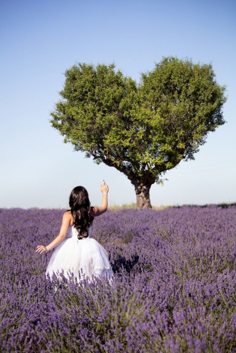 Tipo de fotografiar a su novia en un abandonado lugares de Europa Tipo de fotografiar a su novia en un abandonado lugares de Europa