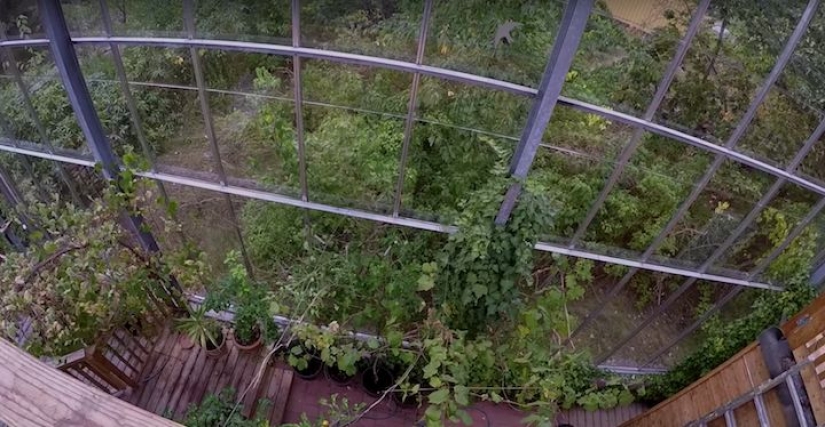 To heat your home, a couple built around it a huge greenhouse