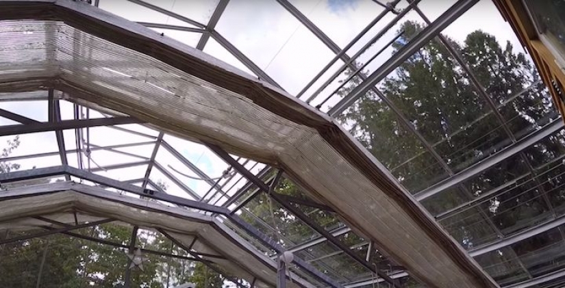 To heat your home, a couple built around it a huge greenhouse