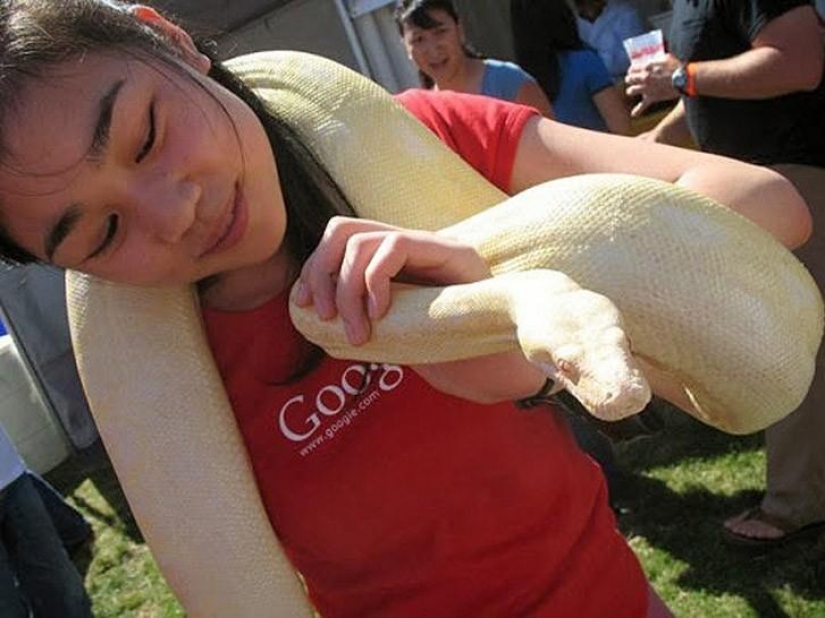 To the programmer: the 5 most sexual representatives of the profession To the programmer: the 5 most sexual representatives of the profession