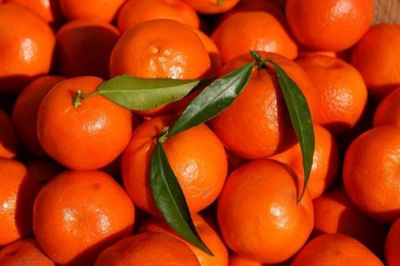Top 10 citrus fruits you probably haven't tried