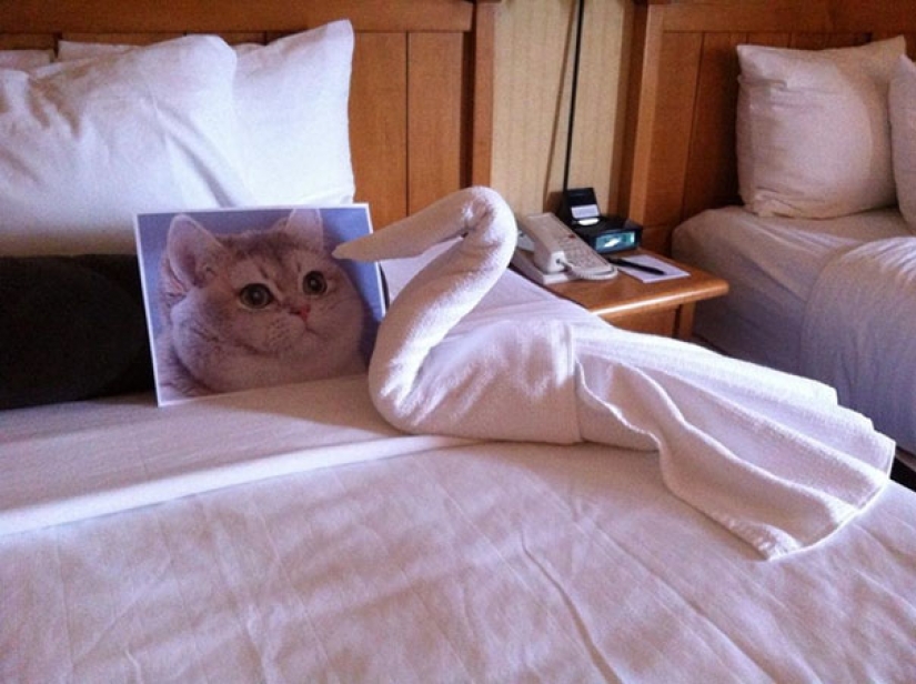 Tourists trolls were sent to the hotels of strange requests... and they did! Tourists trolls were sent to the hotels of strange requests... and they did!