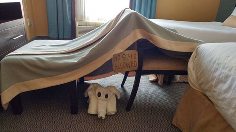 Tourists trolls were sent to the hotels of strange requests... and they did! Tourists trolls were sent to the hotels of strange requests... and they did!