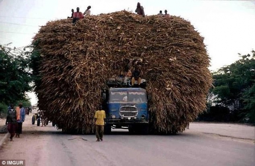 Transporte desafiar las leyes de la física y el sentido común Transporte desafiar las leyes de la física y el sentido común