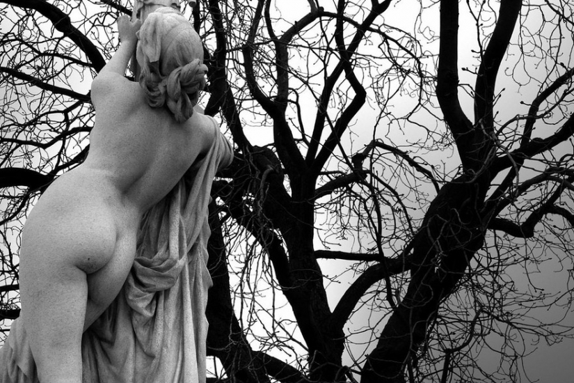 Un hombre común ve una piedra. El artista se oye la música