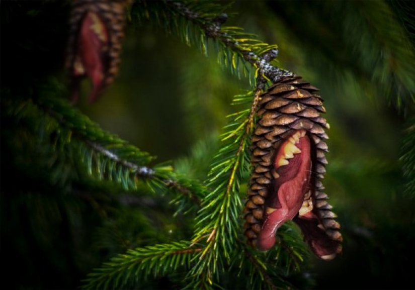 Un perro con un nudo en la boca se convirtió en el héroe de los "memes" y fotozhab Un perro con un nudo en la boca se convirtió en el héroe de los "memes" y fotozhab