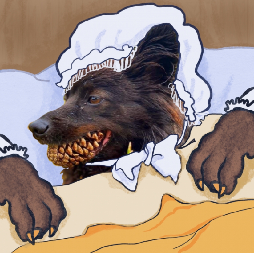 Un perro con un nudo en la boca se convirtió en el héroe de los "memes" y fotozhab Un perro con un nudo en la boca se convirtió en el héroe de los "memes" y fotozhab