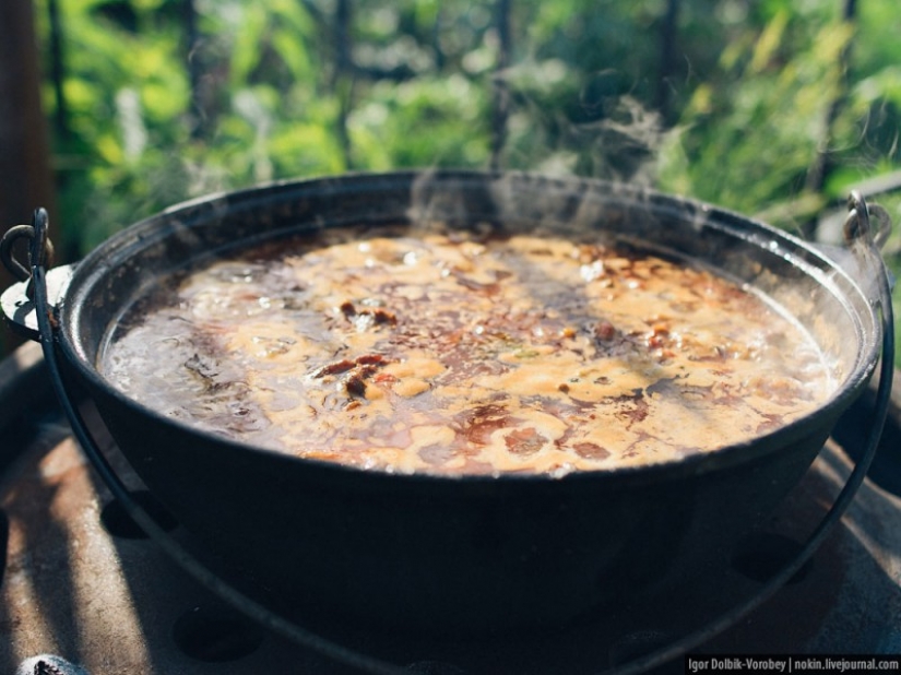 Una alternativa a la barbacoa: cocinar en una fogata