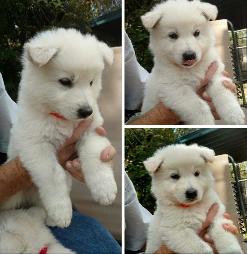 Unbearably cute baby animals that will make your day better Unbearably cute baby animals that will make your day better