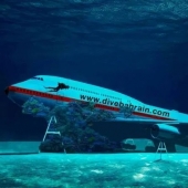 Under a plane wing about something sings the green sea in Bahrain opened underwater Park inside the "Boeing"