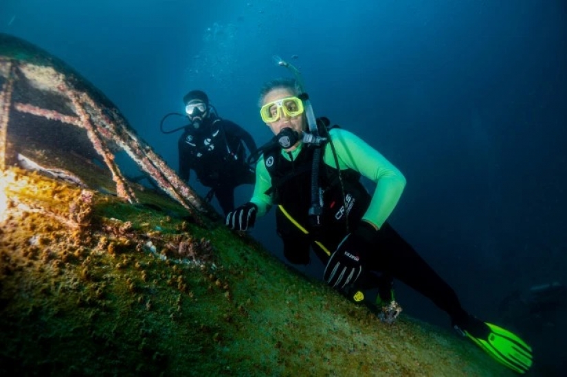 Under a plane wing about something sings the green sea in Bahrain opened underwater Park inside the "Boeing"