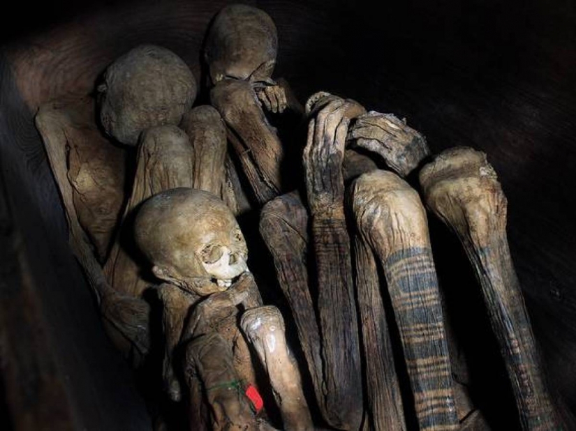 Unique fire mummies of Cabana Unique fire mummies of Cabana