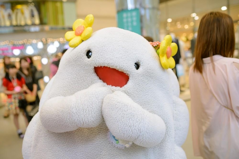 Unusual facts about Japan pictures