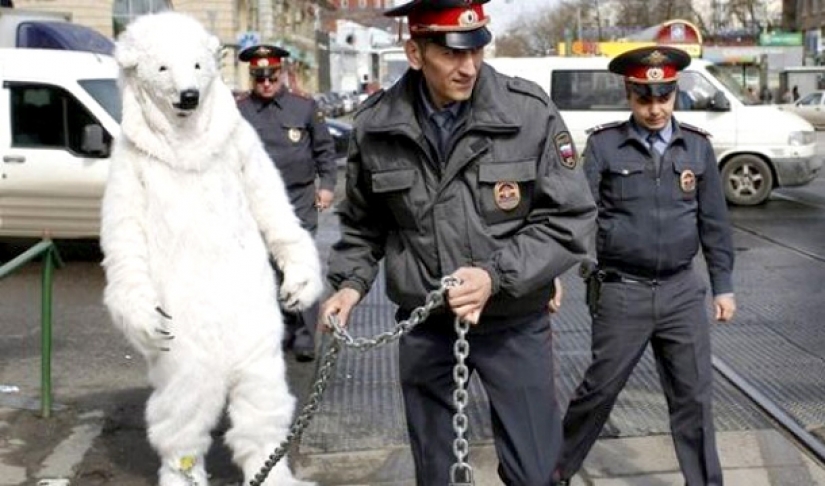 Vista desde el extranjero: 20 cosas que en Rusia que los extranjeros parece muy extraño Vista desde el extranjero: 20 cosas que en Rusia que los extranjeros parece muy extraño