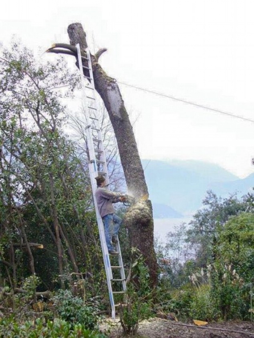 Watch the idiots at work, or How are they still alive? Watch the idiots at work, or How are they still alive?