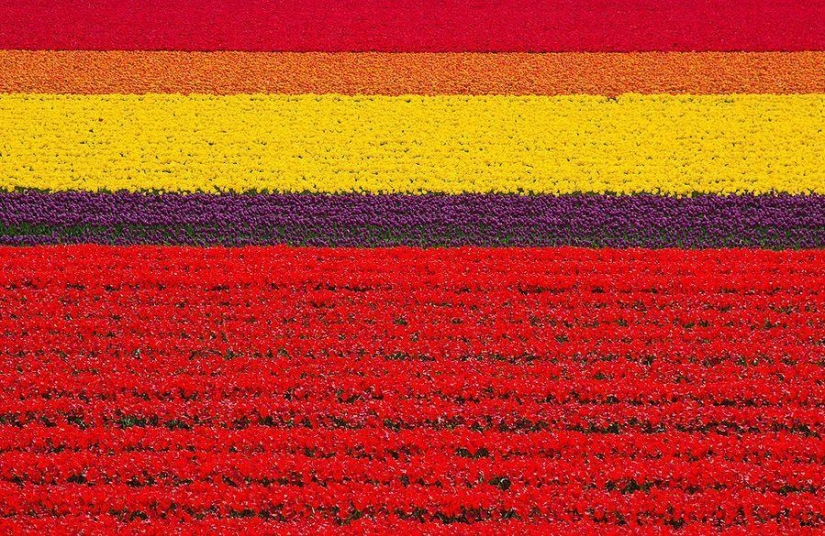 We are looking to see