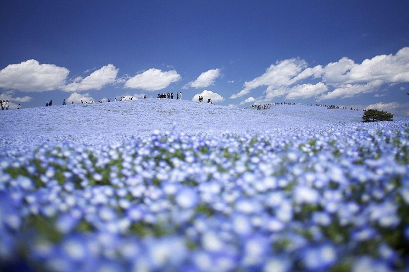 We are looking to see