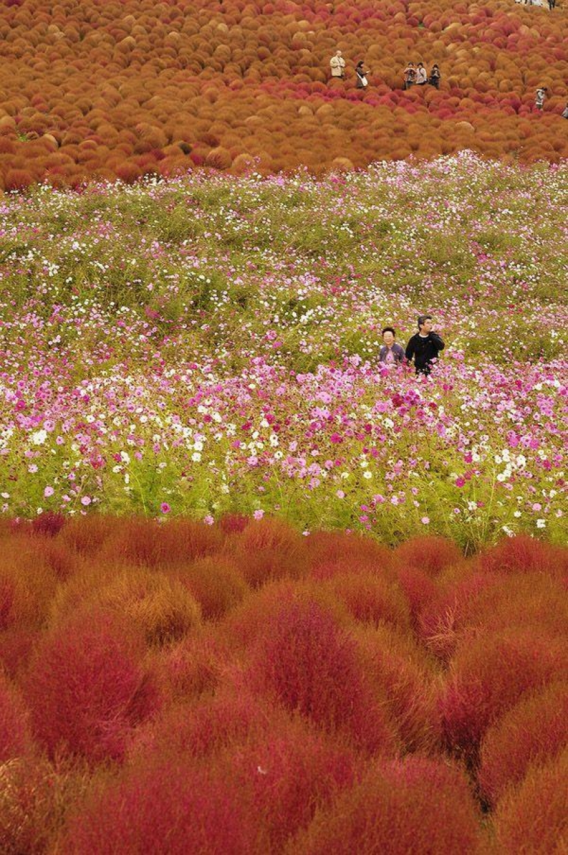 We are looking to see