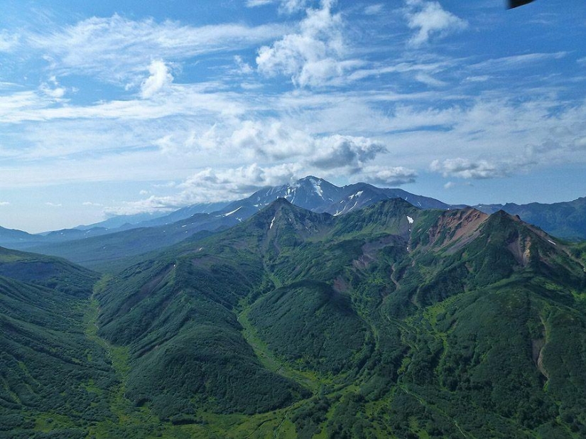 We are looking to see