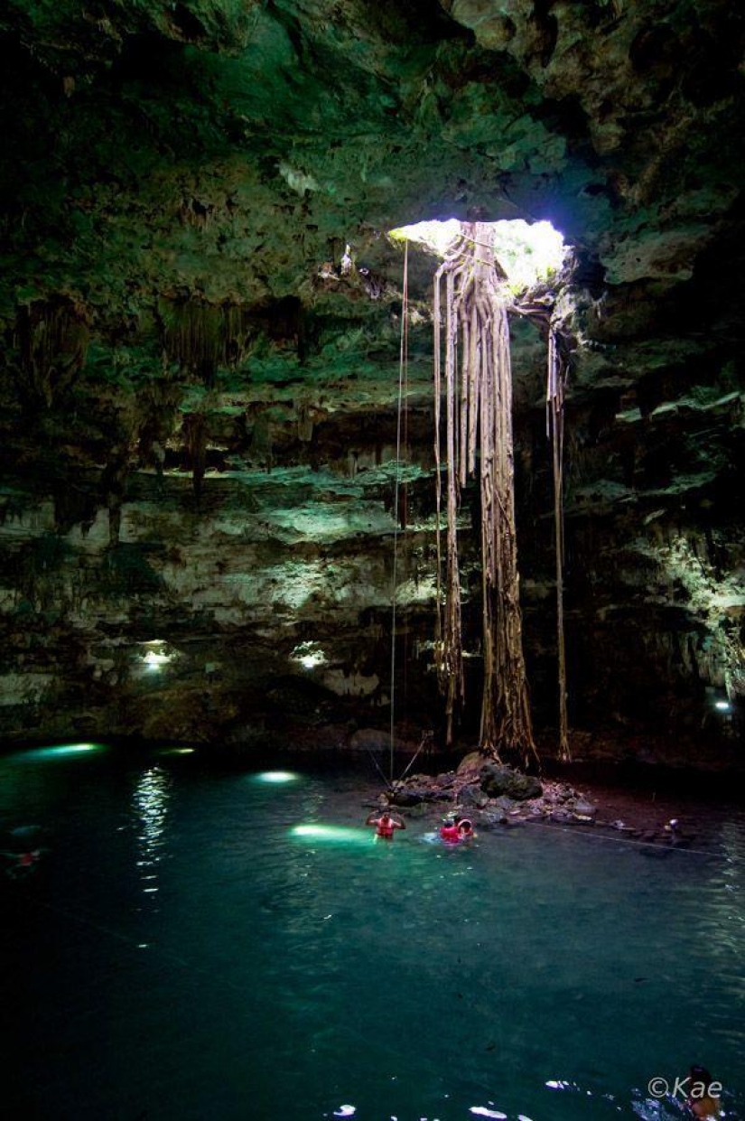 We are looking to see