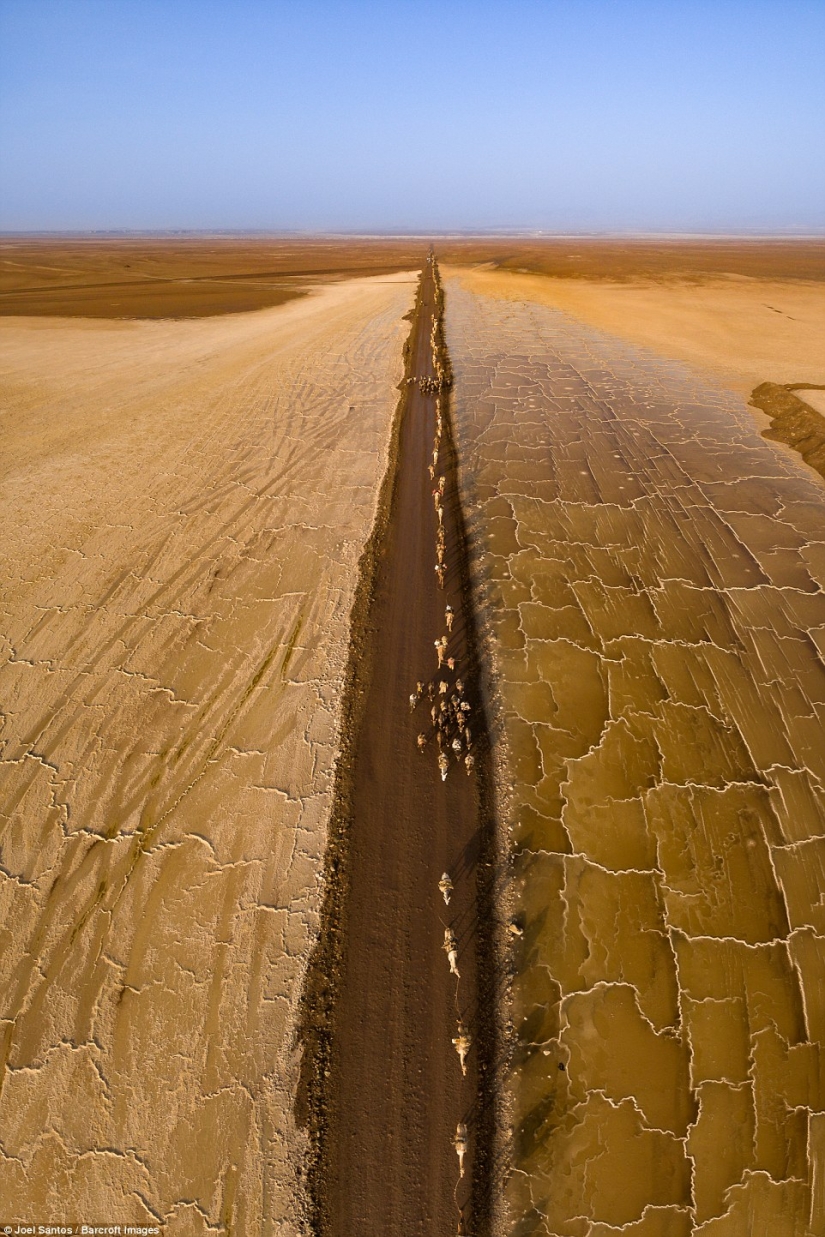 Welcome to hell: looks like the hottest job in the world