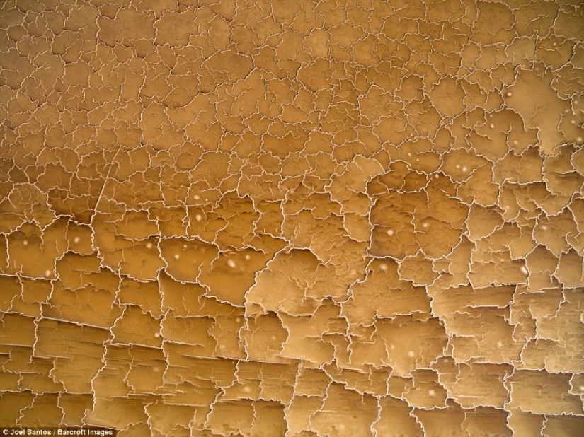 Welcome to hell: looks like the hottest job in the world