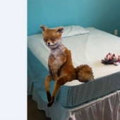 "Welcome to juvie": as punishment, the mother turned the daughter's room to a prison cell