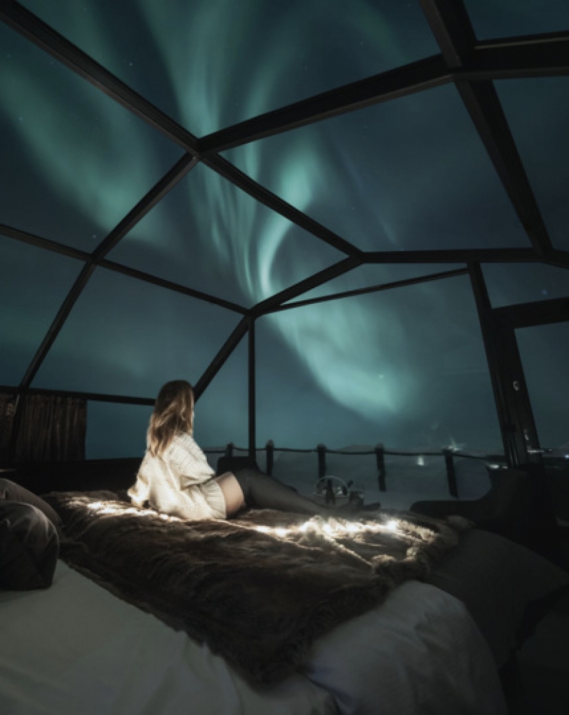 What dreams come true look like