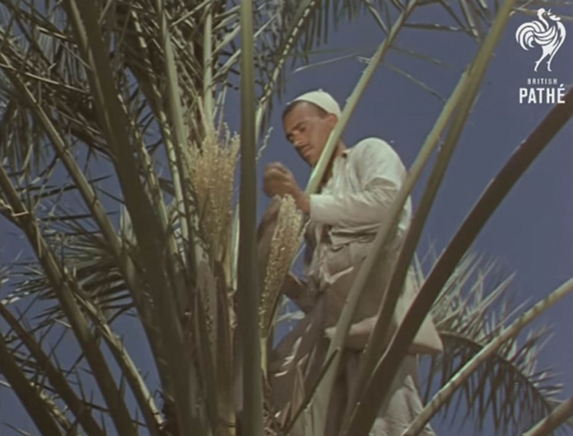 What was Iraq before the war and sanctions