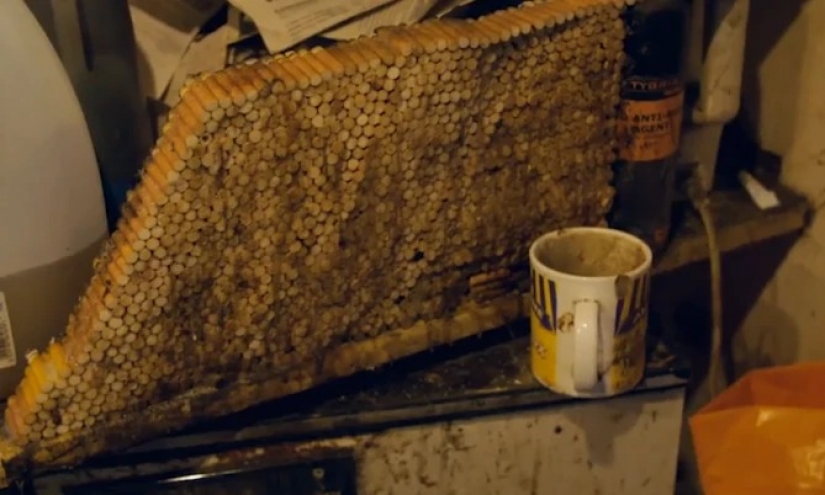 When life turns into trash: British television showed the home of the most terrible hoarders of the country