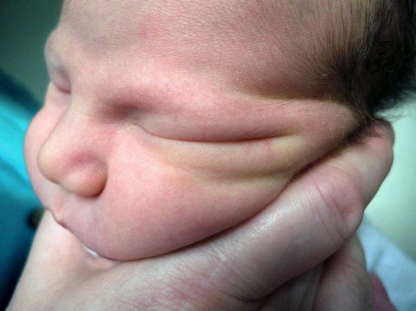 "When Lulu was born, my wife Carla disappeared": how to develop paternal feelings "When Lulu was born, my wife Carla disappeared": how to develop paternal feelings