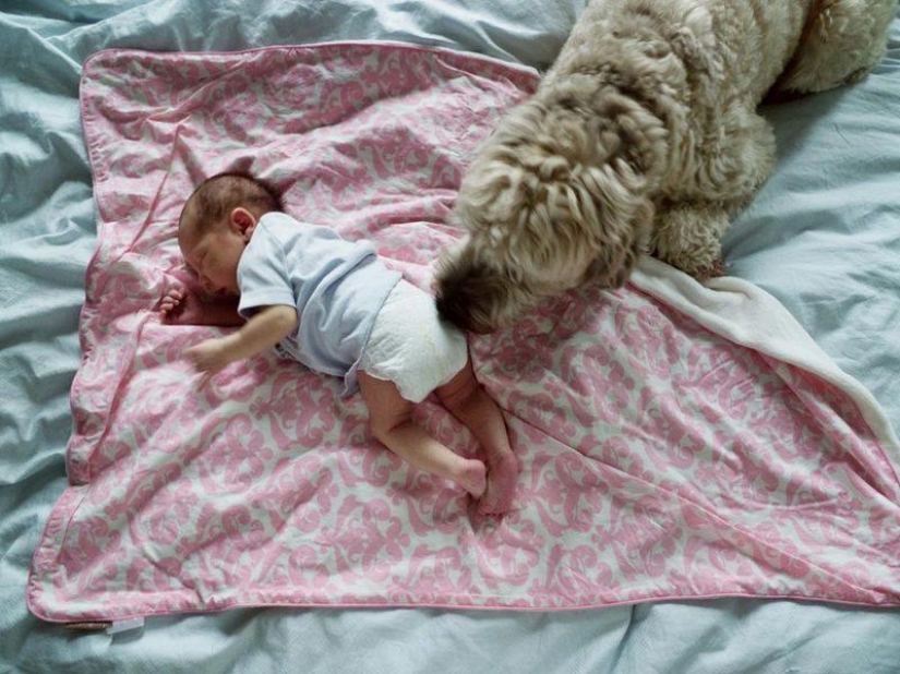 "When Lulu was born, my wife Carla disappeared": how to develop paternal feelings "When Lulu was born, my wife Carla disappeared": how to develop paternal feelings