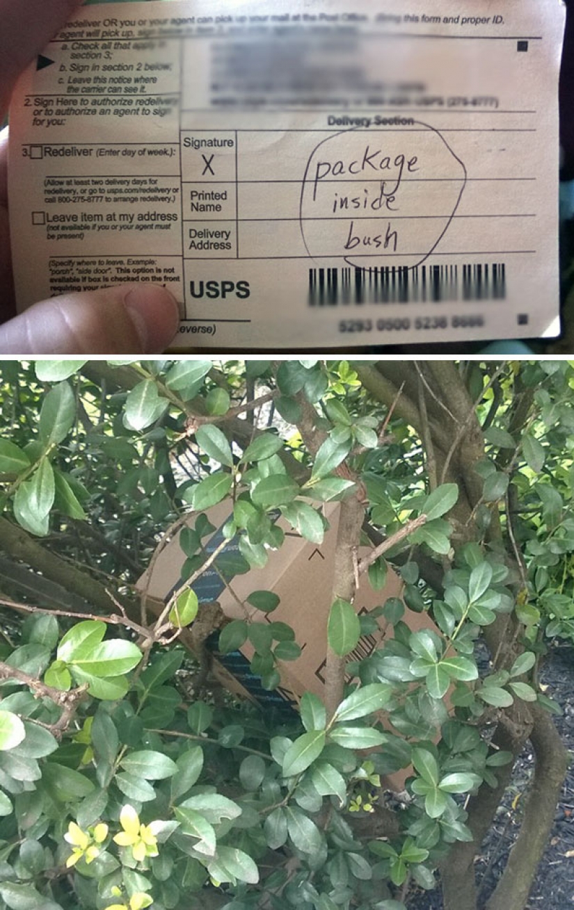 When the postman — not Pechkin: epic failures of service delivery