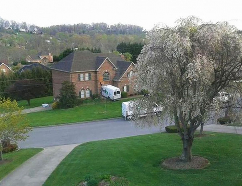 When the postman — not Pechkin: epic failures of service delivery