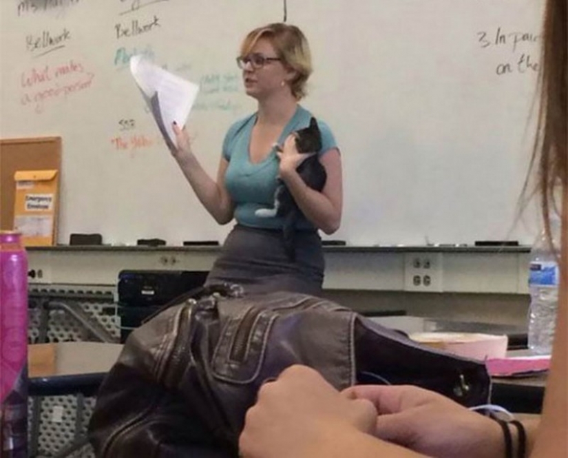 When the teacher is really cool