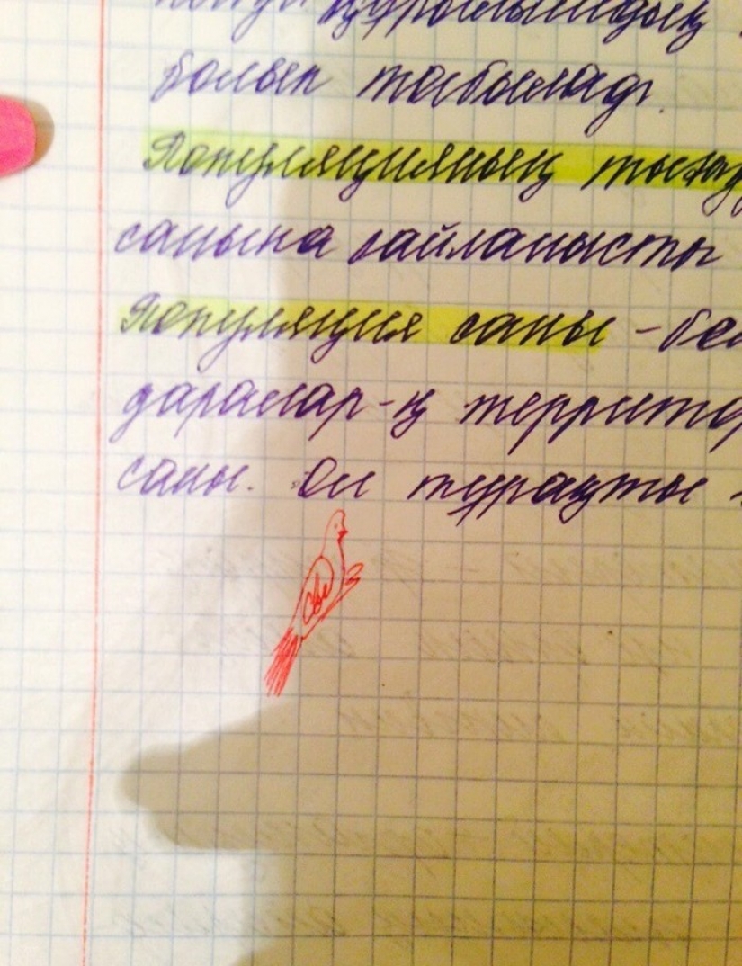 When the teacher is really cool