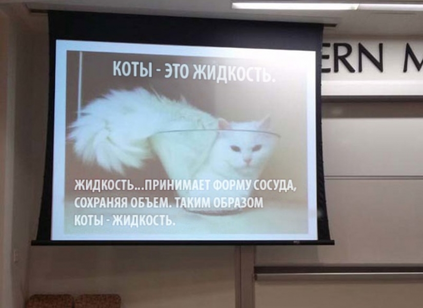 When the teacher is really cool