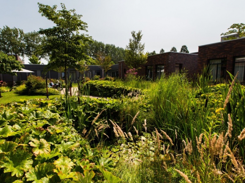 Where am I? The Dutch village where everyone suffers from dementia Where am I? The Dutch village where everyone suffers from dementia