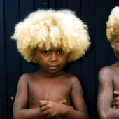 Where in Melanesia come from dark-skinned people with blond hair