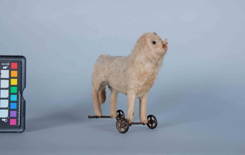 While visitors to the quarantine, the museums of the world had a contest on the most macabre exhibit
