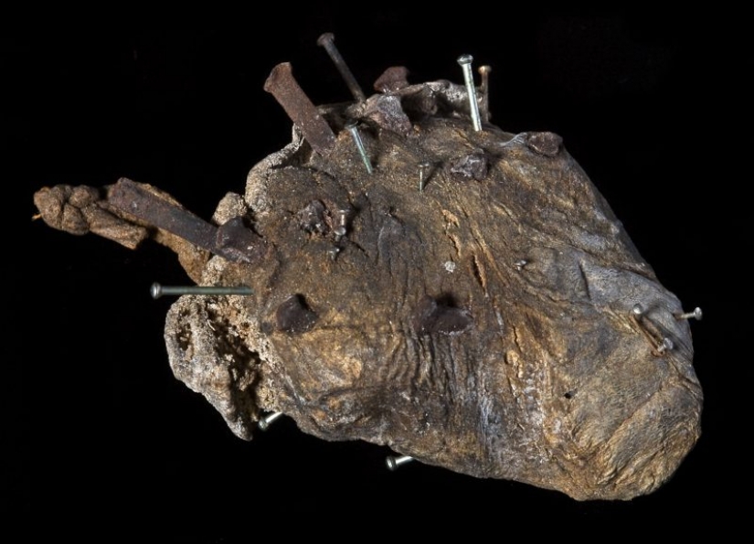 While visitors to the quarantine, the museums of the world had a contest on the most macabre exhibit