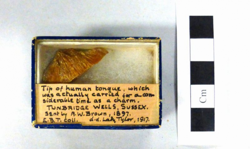 While visitors to the quarantine, the museums of the world had a contest on the most macabre exhibit