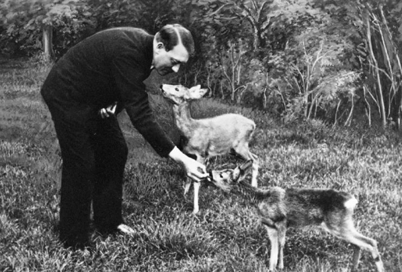 Who are ecotality and why they want us dead