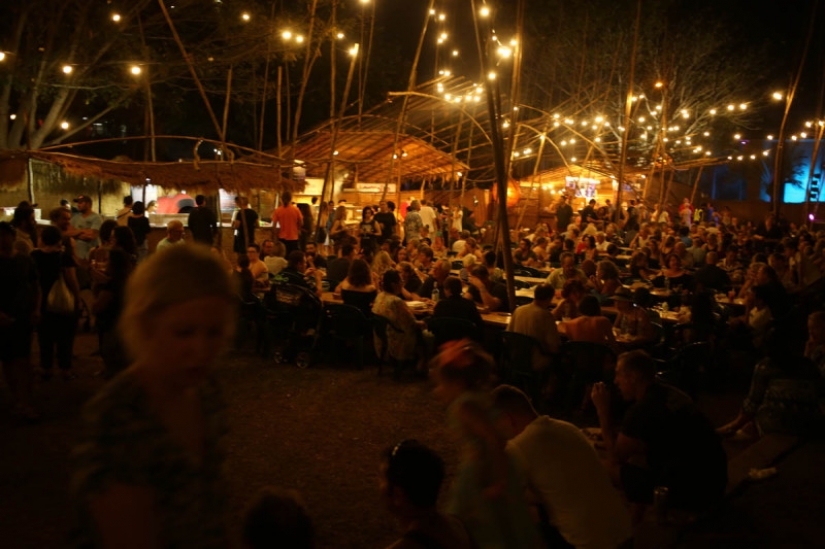 Who are the gray Wanderers of Australia Who are the gray Wanderers of Australia