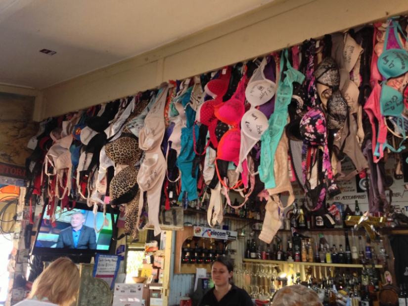 Who are the gray Wanderers of Australia Who are the gray Wanderers of Australia