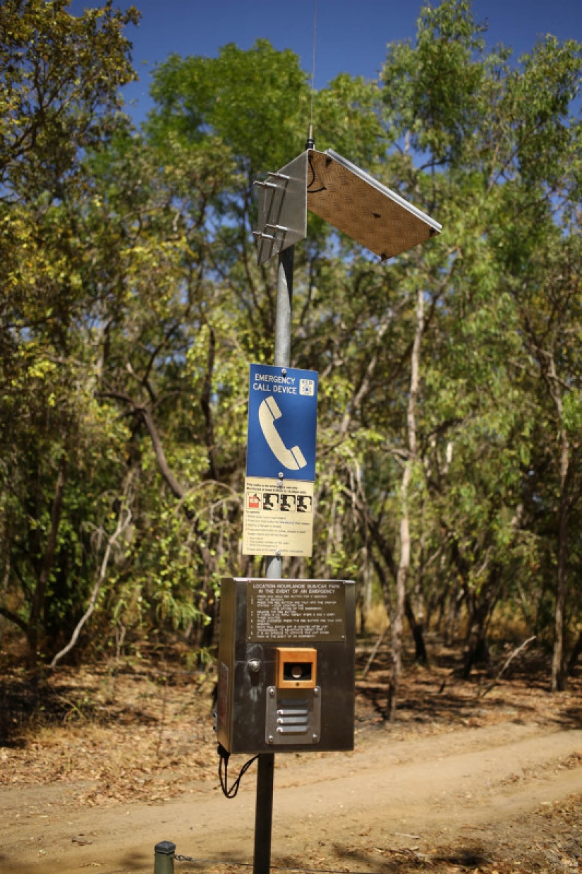 Who are the gray Wanderers of Australia Who are the gray Wanderers of Australia