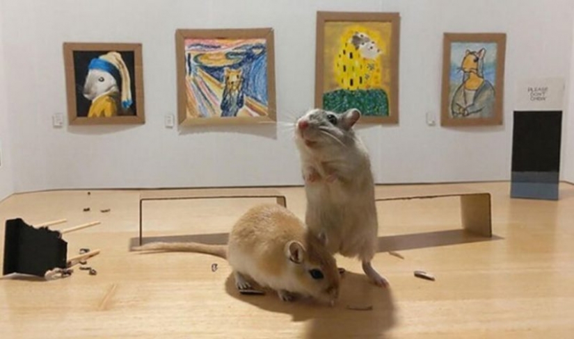 Why in London he opened a tiny art gallery for mice-gerbils Why in London he opened a tiny art gallery for mice-gerbils