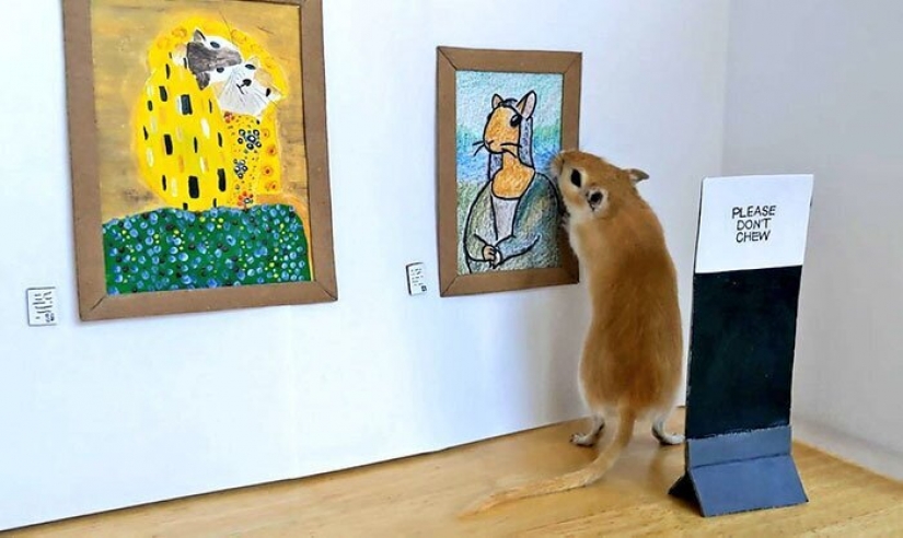 Why in London he opened a tiny art gallery for mice-gerbils Why in London he opened a tiny art gallery for mice-gerbils
