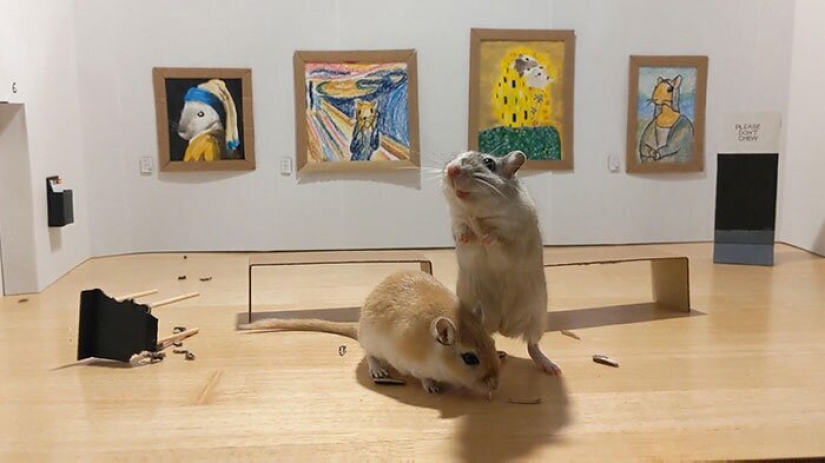 Why in London he opened a tiny art gallery for mice-gerbils Why in London he opened a tiny art gallery for mice-gerbils
