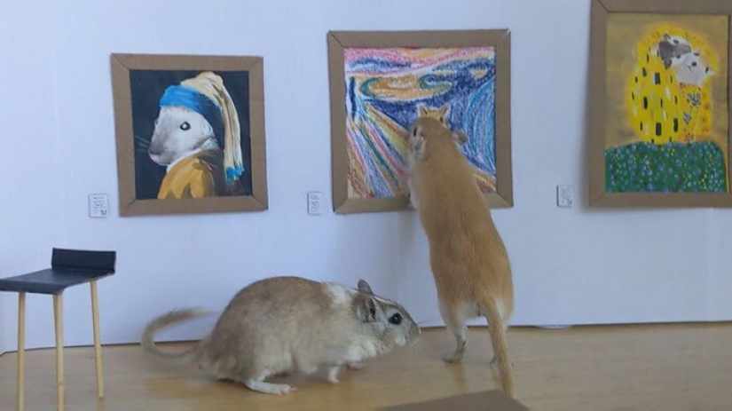 Why in London he opened a tiny art gallery for mice-gerbils Why in London he opened a tiny art gallery for mice-gerbils